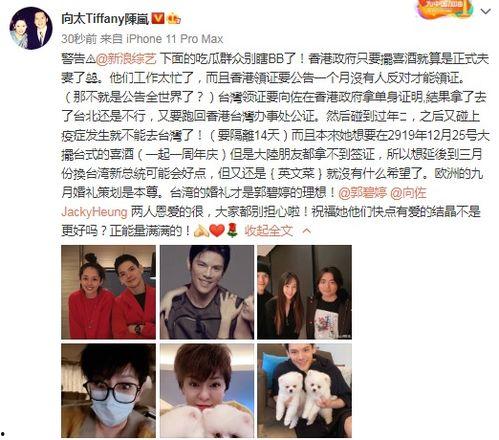 儿子吃瓜群众文案,揭秘娱乐圈幕后故事  第2张