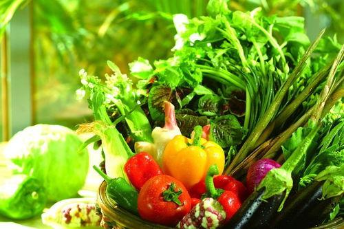 欣欣吖吃瓜,网络红人的瓜田奇遇记 第3张 欣欣吖吃瓜,网络红人的瓜田奇遇记 第3张