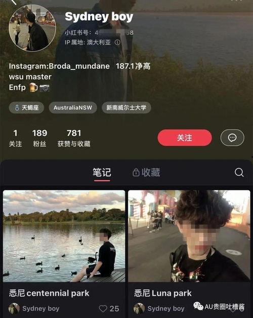 留学圈吃瓜pdf,从“吃瓜PDF”看海外留学生活众生相