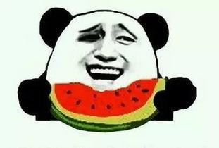 吃瓜创业,揭秘美食背后的商业传奇