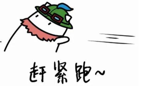 小提莫吃瓜  第2张