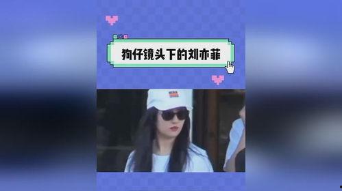 吃瓜日记预告片,揭秘娱乐圈背后的秘密与真相  第3张