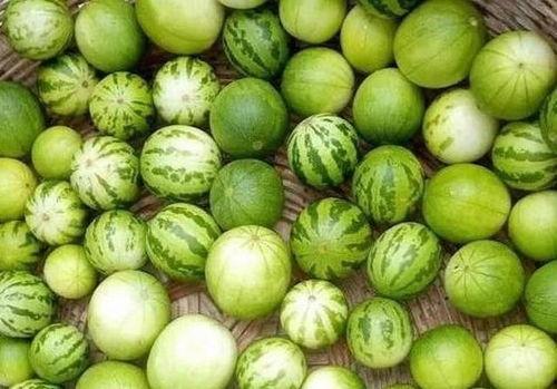 小瓜吃瓜,揭秘娱乐圈那些不为人知的幕后故事