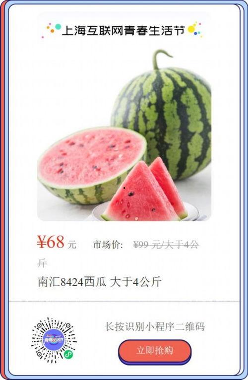 大上海吃瓜,吃瓜群众的欢乐盛宴  第3张