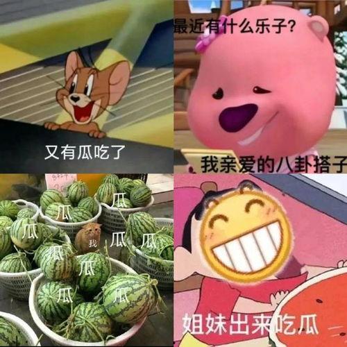 pdf吃瓜群众包子,网络热词背后的文化现象  第1张