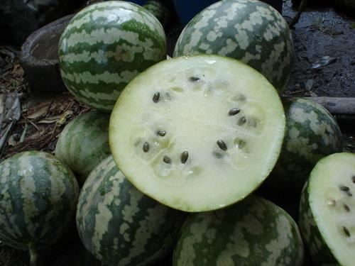 绿宝瓜怎么吃呢,轻松解锁美味新体验  第1张