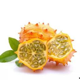 凌晨吃网纹瓜,网纹瓜的独特魅力  第2张