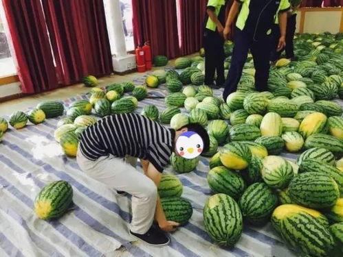 学生买瓜吃,学生们的夏日美食之旅