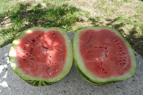 梦见吃西瓜小瓜,揭秘吃西瓜小瓜的神秘寓意  第2张