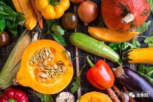 开心吃瓜最重要,畅享生活乐趣 第3张 开心吃瓜最重要,畅享生活乐趣 第3张