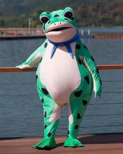 人偶青蛙吃瓜,人偶青蛙的夏日吃瓜奇遇记  第1张