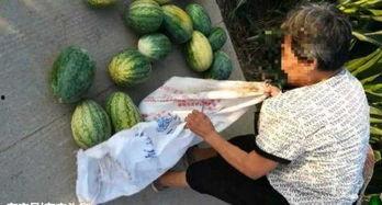 沛县最近吃瓜事件,一场网络热议背后的真相揭秘 第3张 沛县最近吃瓜事件,一场网络热议背后的真相揭秘 第3张