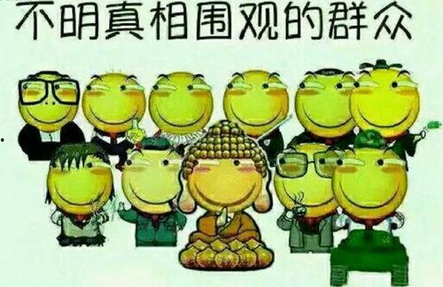 吃瓜群众惋惜的话 第1张 吃瓜群众惋惜的话 第1张