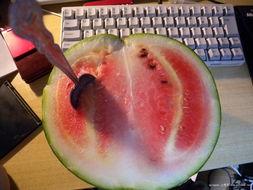 章哥吃瓜,揭秘娱乐圈幕后故事