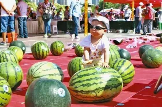 吃瓜网站哪里有  第2张