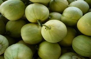 吃瓜网站哪里有  第3张