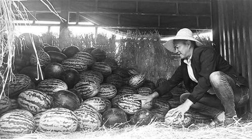 井陉吃瓜群众,揭秘民间生活百态