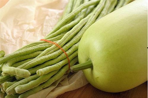 婴儿吃瓠瓜,助力宝宝健康成长