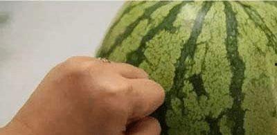 吃瓜加学习,趣味时事与知识积累的完美融合