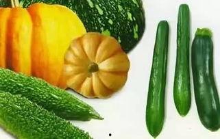 吃瓜提莫,揭秘网络红人的成长之路