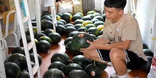 学校吃瓜监控,揭秘校园生活趣味瞬间