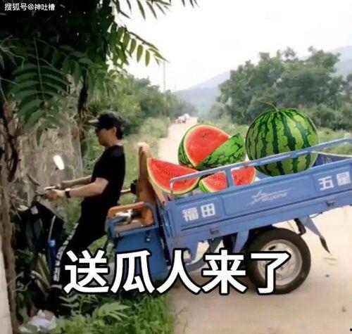 带你吃大瓜文案,带你揭秘娱乐圈那些鲜为人知的“大瓜”故事