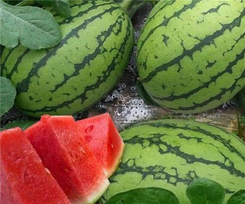 岑岑吃大瓜,揭秘娱乐圈幕后故事