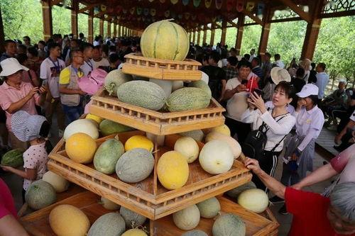 吃团团瓜,吃团团瓜的欢乐时光