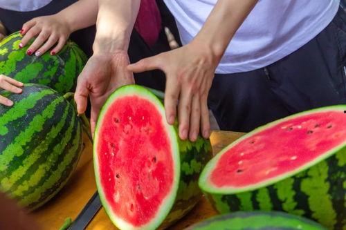 大学走廊吃瓜,瓜田里的青春故事