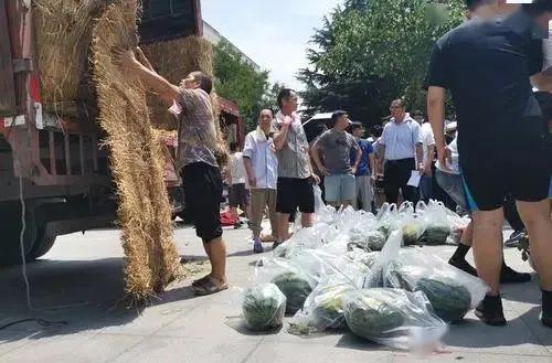 校园生活的吃瓜,揭秘校园美食圈的那些事儿