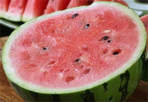 猫可以吃麒麟瓜吗,麒麟瓜，猫咪的美食还是禁忌？