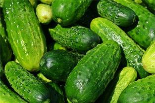 梦见和别人吃瓜黄瓜