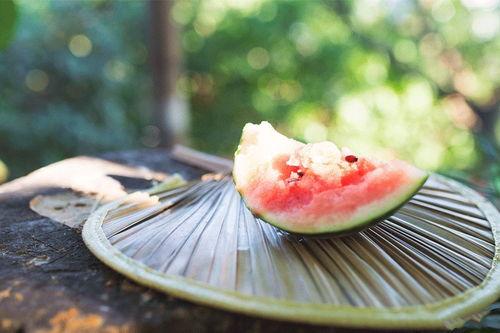 吃瓜能有多厉害