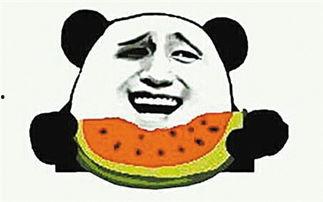 我一直在吃瓜吃我自己的瓜,我的瓜田生活记