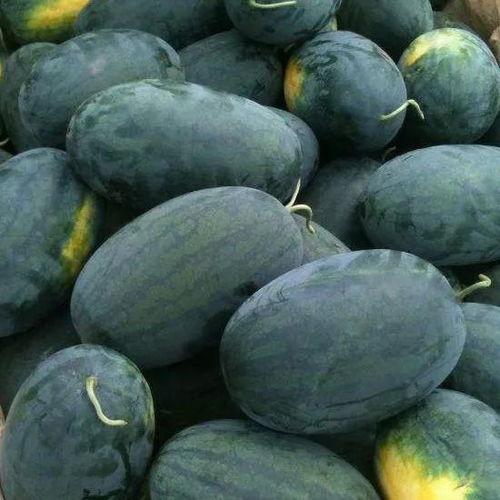 51朝阳吃瓜王,网络红人的崛起与争议