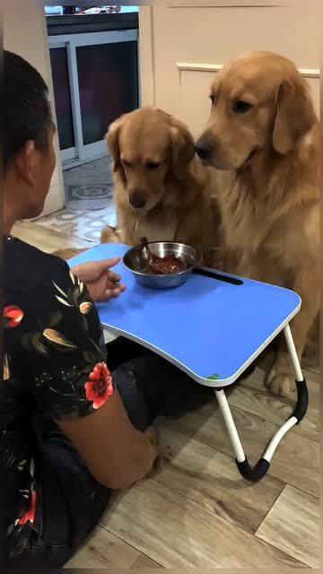 和阿毛吃瓜,揭秘娱乐圈那些不为人知的幕后故事