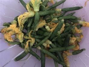 蚂蚱吃瓜花吗怎么吃,揭秘它们如何享用瓜花