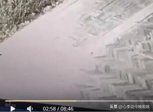 兰州老街最新吃瓜,一网打尽最新“吃瓜”盛况