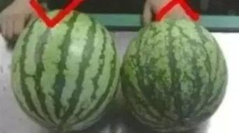 吃瓜的小岛,探寻神秘岛屿的瓜界传奇