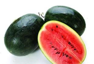 温精灵大晚上吃瓜,瓜田里的那些事儿