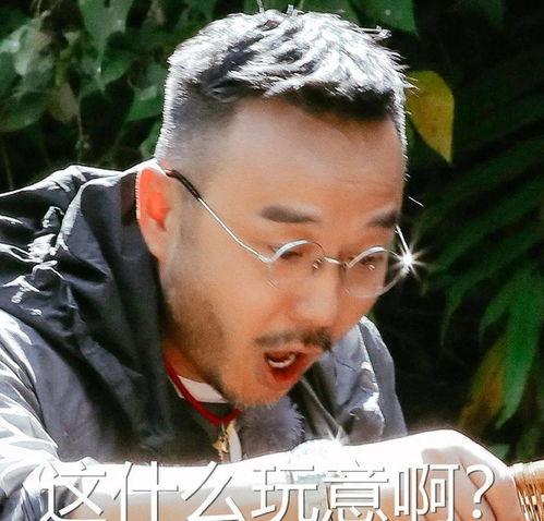 王导吃瓜直播间,揭秘娱乐圈幕后故事