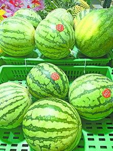 武汉菜根花吃瓜