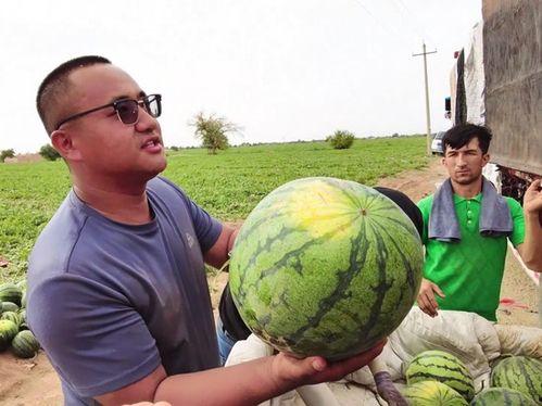 乌鲁木齐吃瓜视频