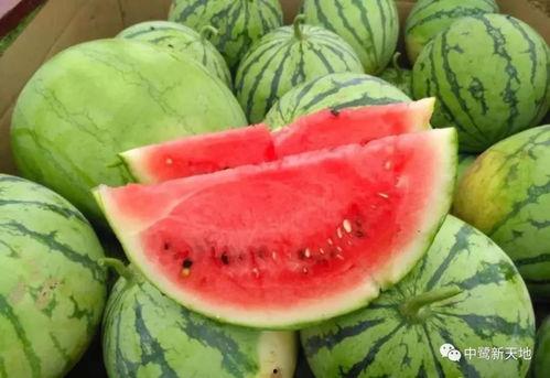 家有吃瓜的,揭秘娱乐圈幕后风云