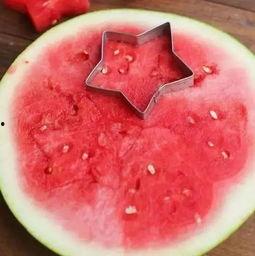 吃瓜吐籽视频大全,趣味横生的夏日消暑神器