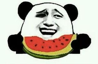 袁老二吃瓜,揭秘娱乐圈幕后风云