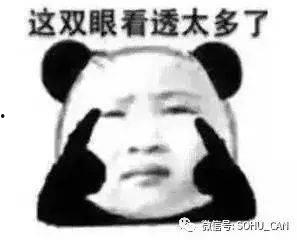 吃瓜大傻子,网络红人的崛起与争议