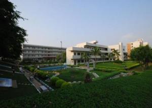 梅县华侨中学吃瓜