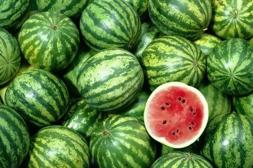 全网吃瓜文,揭秘吃瓜文背后的真相与趣味