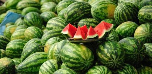 吃瓜垃圾,网络热词背后的文化现象